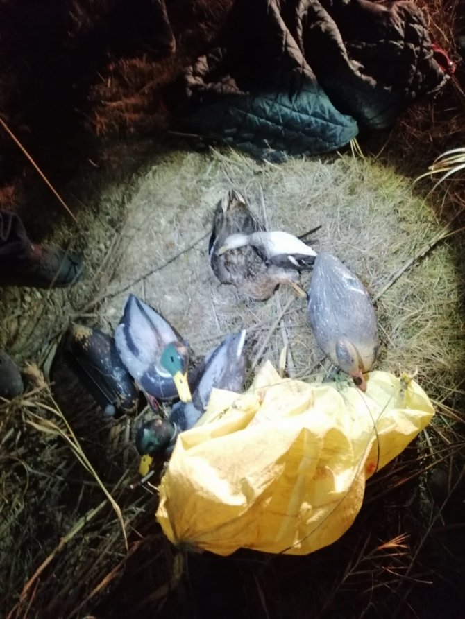 Beyşehir'de yasa dışı ördek avına ceza