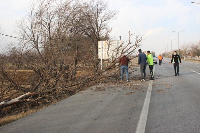 Karaman’da şiddetli rüzgar ağaçları devirdi