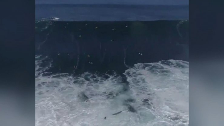 Havai'de sörfçüler dev dalgalara meydan okudu