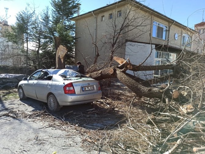Eskişehir’de rüzgârın şiddeti saate 89 kilometreye ulaştı