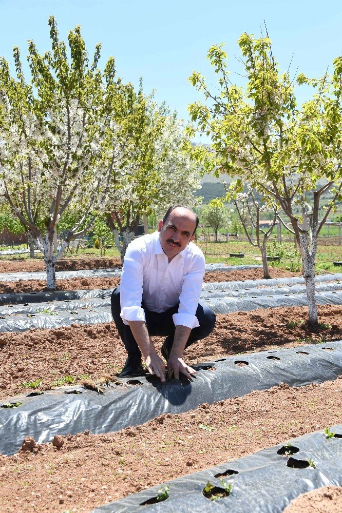 Konya’da küçük ölçekli sulama tesisleri ile tarım arazileri suya kavuşuyor