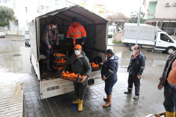 Marmaris’te toplanan turunçlar vatandaşlara dağıtıldı