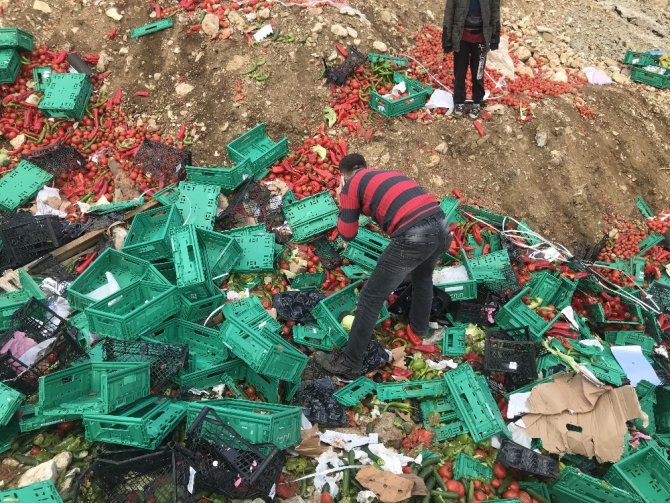Konya'daki markete ürün getiren tır devrildi, sürücüsü öldü...İnsanlar yola saçılan meyveleri evlerine götürdü!