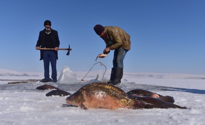 Donan Nazik Gölü’nde Eskimo usulü balık avı