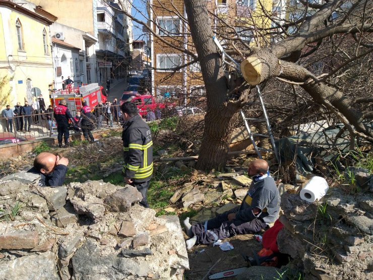 Kestiği ağaç üzerine düşen işçi yaralandı