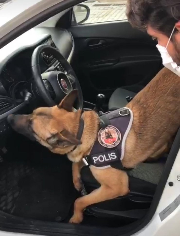 Narkotik köpek 'Artur'un tepki verdiği otomobilden uyuşturucu çıktı