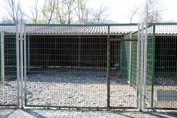 Hayvanat bahçesinden çaldığı alageyiği vuran kişiye 61 bin lira ceza