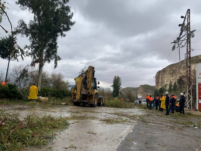 Fırtınada devrilen ağaçlar araçlara zarar verdi