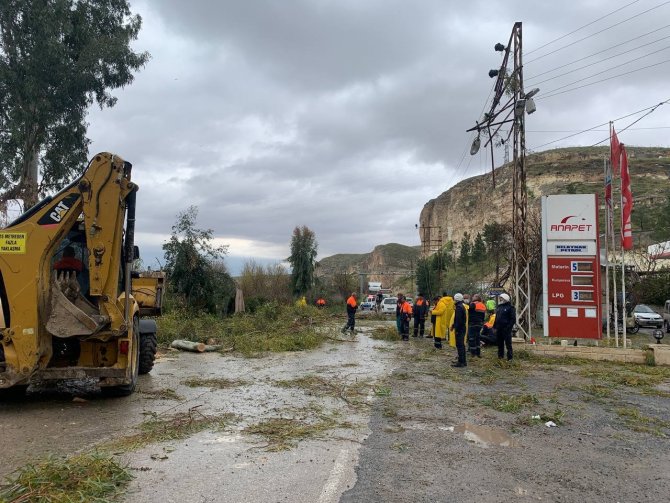 Fırtınada devrilen ağaçlar araçlara zarar verdi