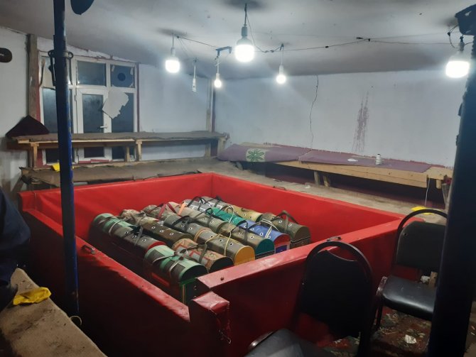 Horoz dövüştüren gruba operasyon: 18 kişi yakalandı
