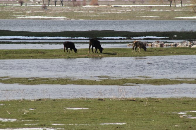 Beyşehir’de eriyen karlar, ekili arazileri suyla doldurdu