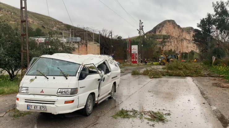 Fırtına; ağaçlar devrildi, 4 araç hasar gördü