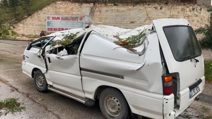 Fırtına; ağaçlar devrildi, 4 araç hasar gördü
