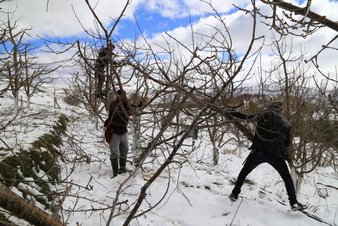 Toroslar’daki kiraz bahçeleri kar altında yeni sezona hazırlanıyor