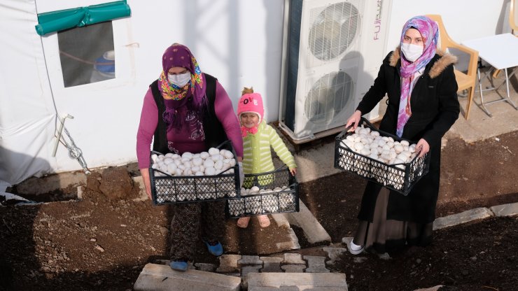 Konya'da gelin-kaynana, tarımın yapılamadığı Orta Toroslar’da mantar üretiyor