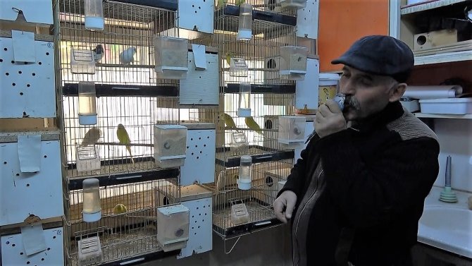 Bir çift kuşla başladığı hobisi 200 kuşluk bir tutkuya dönüştü!