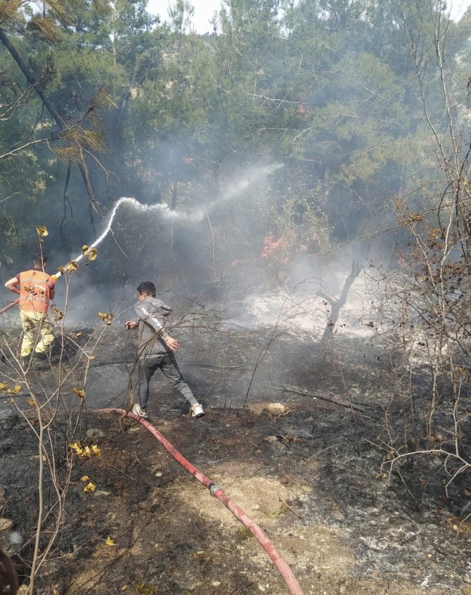 Orman yangınında 4 hektar alan zarar gördü
