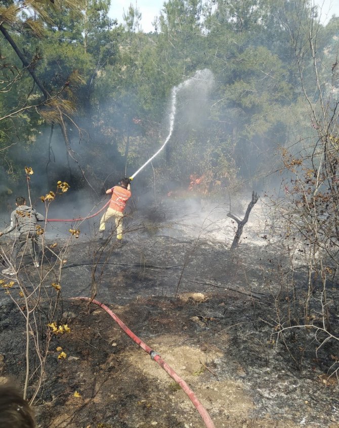 Orman yangınında 4 hektar alan zarar gördü