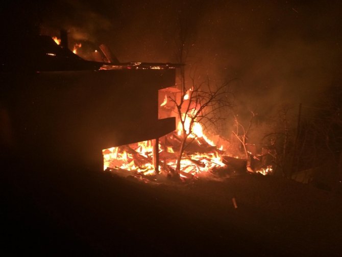 Artvin’de bu kez Ortaköy köyünde yangın çıktı