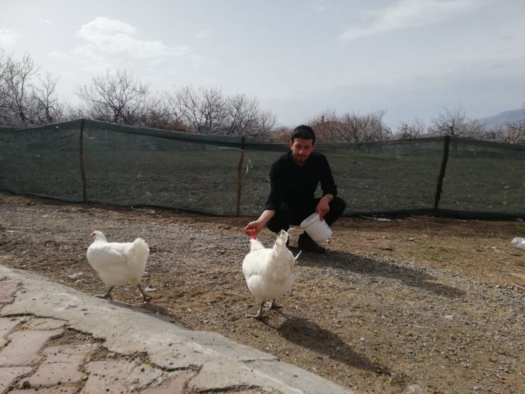 Üniversiteli kardeşlerin hobi olarak başladıkları kuluçkalık yumurta üretimi gelir kapısı oldu