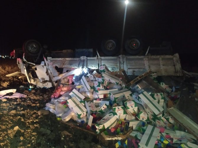 Köpeğe çarpmamak için kaza yaptı