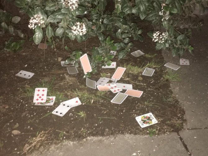 Polisin kumar baskınında oyun kağıtlarını camdan attılar