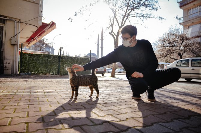 Hayvansever lise öğrencisi harçlıklarıyla sokaklardaki "can dostları"nı besliyor
