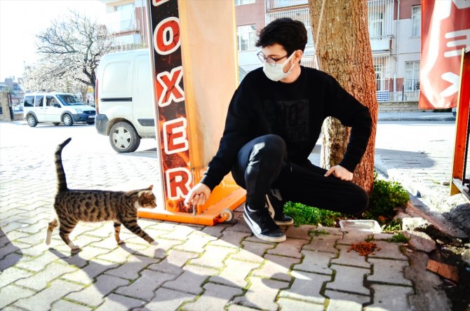 Hayvansever lise öğrencisi harçlıklarıyla sokaklardaki "can dostları"nı besliyor