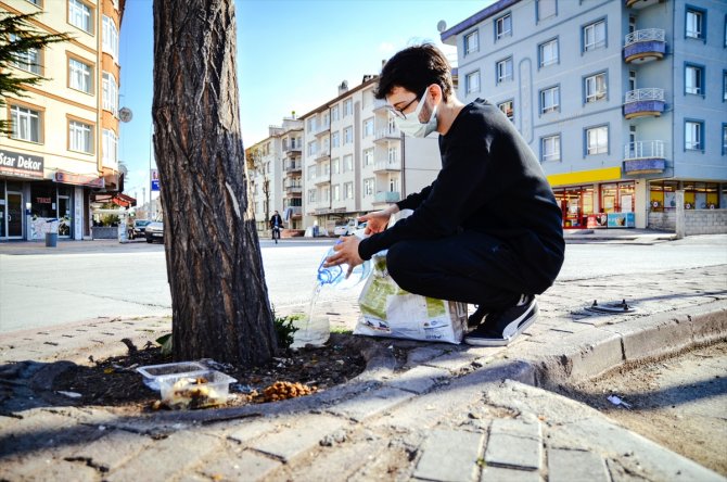 Hayvansever lise öğrencisi harçlıklarıyla sokaklardaki "can dostları"nı besliyor