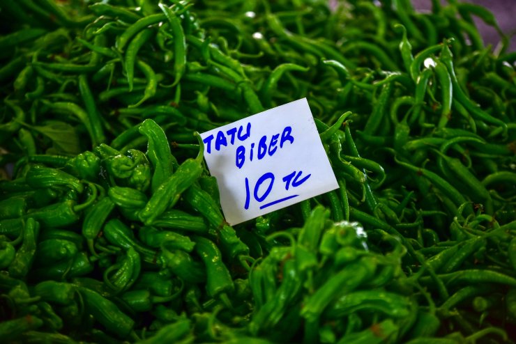 Kilosu 60 kuruşa düşen salatalık, pazarda 8 liradan alıcı buldu