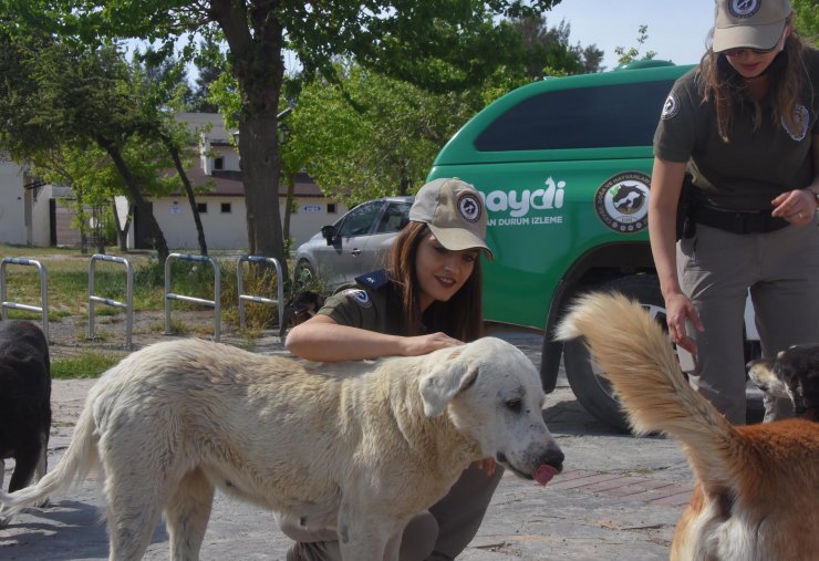 İzmir'de HAYDİ ekibi, tam kapanmada da can dostların yanında