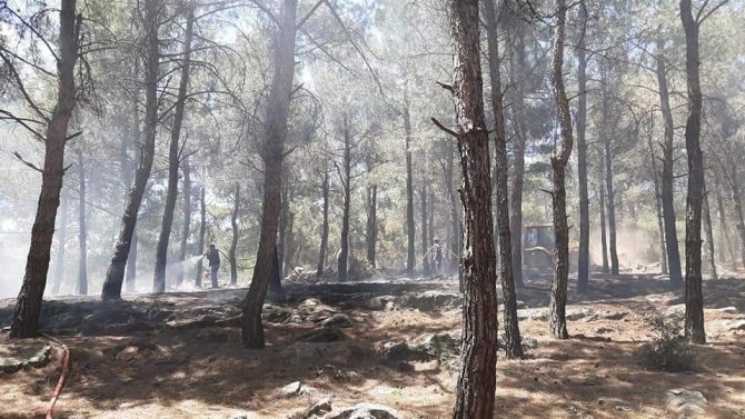 2 hektarlık alanın kül olduğu orman yangını büyümeden söndürüldü