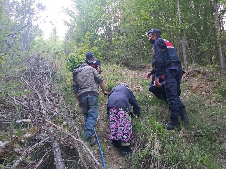 Ormanda kaybolan alzheimer hastası kadın jandarma tarafından bulundu