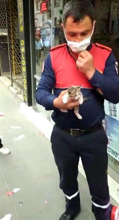 Reklam tabelasında mahsur kalan yavru kediyi itfaiye kurtardı