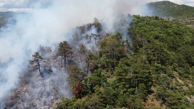 Balya’daki orman yangını kontrol altına alındı