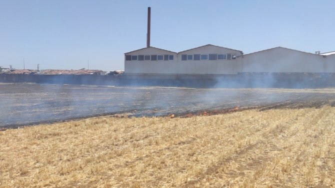 Anız yangını az kalsın fabrikayı yok ediyordu