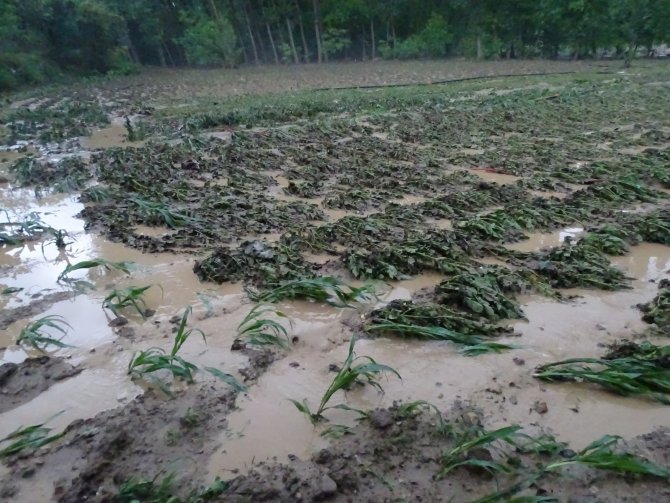 Dereler taştı, tarım arazileri sular altında kaldı