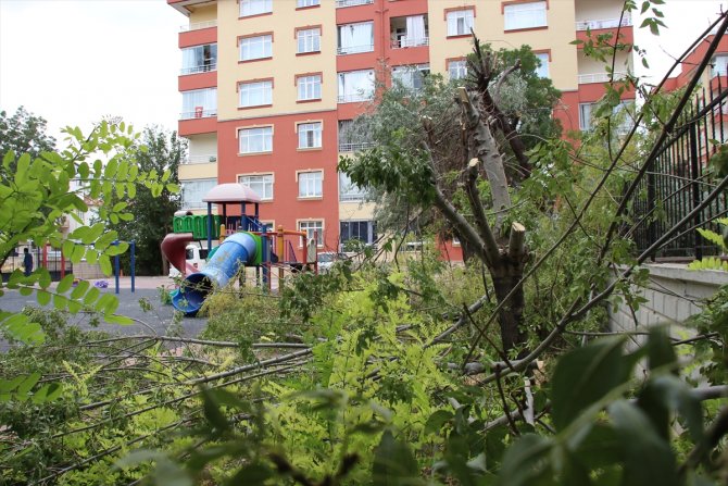 Konya'da bir sitenin bahçesindeki ağaçların kesilmesi tepki çekti