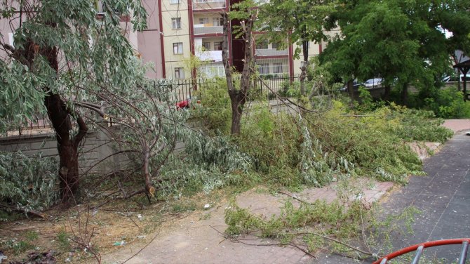 Konya'da bir sitenin bahçesindeki ağaçların kesilmesi tepki çekti