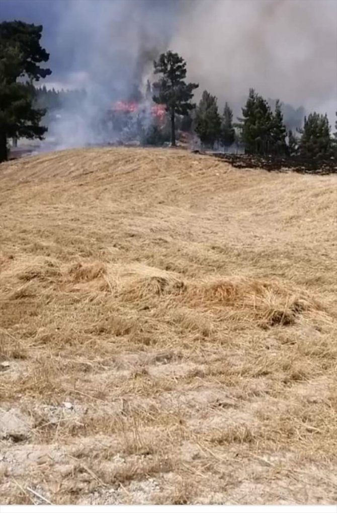Denizli'nin Acıpayam ilçesinde orman yangını çıktı