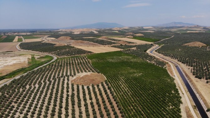 Manisa’nın görkemli güzellikleri define avcılarının saldırısına uğradı