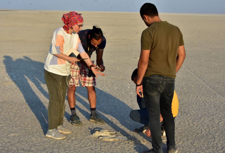 Yavru flamingo ölülerini görünce gözyaşlarını tutamadı