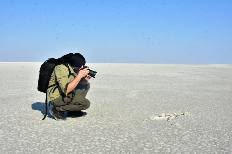Yavru flamingo ölülerini görünce gözyaşlarını tutamadı