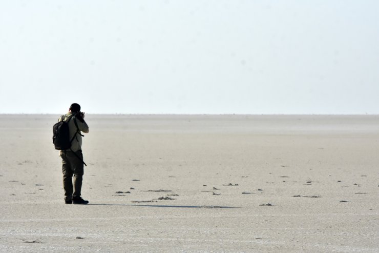 Yavru flamingo ölülerini görünce gözyaşlarını tutamadı