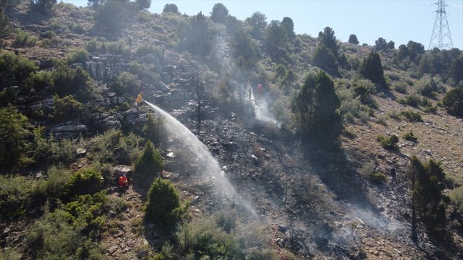 Konya'da ormanlık alanda korkutan yangın!