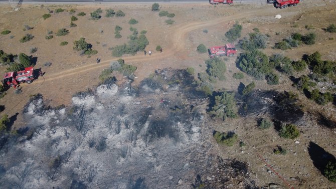 Konya'da ormanlık alanda korkutan yangın!