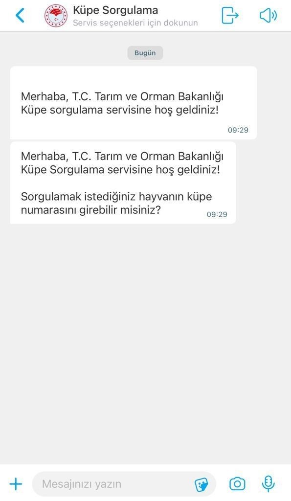 BiP, ‘Küpe Sorgulama’ özelliği getirdi