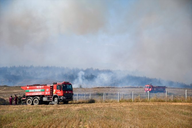 Adana Sarıçam'da çıkan orman yangını kontrol altına alındı