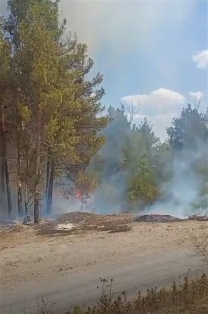 Adana Sarıçam'da çıkan orman yangını kontrol altına alındı