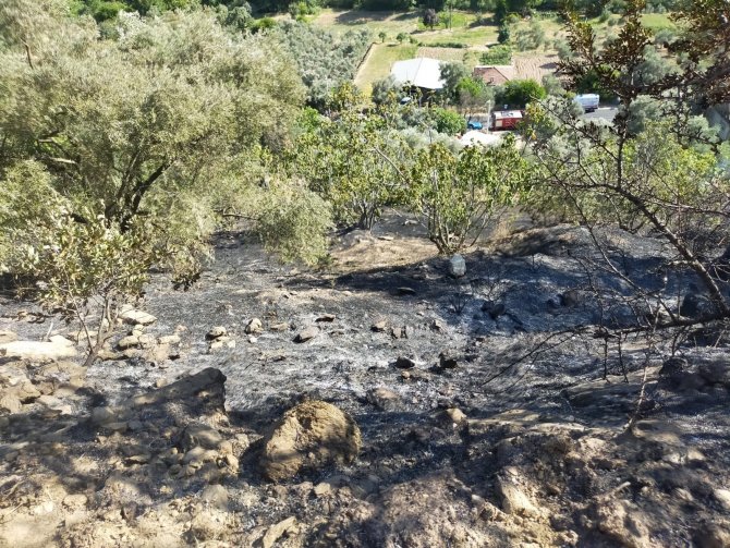Zirai alandaki yangın evlere ulaşmadan söndürüldü